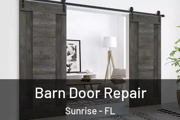 Barn Door Repair Sunrise - FL