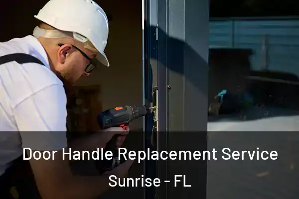 Door Handle Replacement Service Sunrise - FL