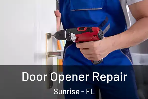 Door Opener Repair Sunrise - FL