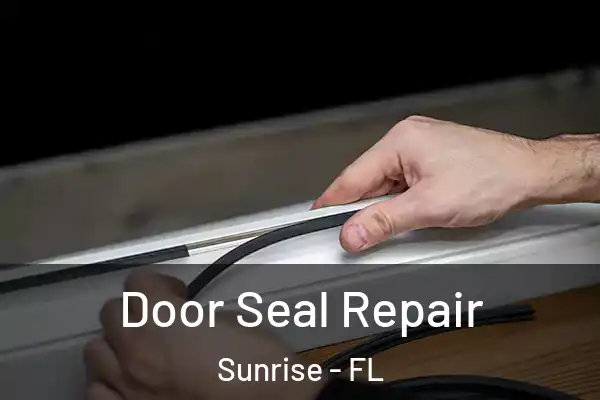 Door Seal Repair Sunrise - FL