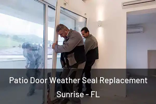  Patio Door Weather Seal Replacement Sunrise - FL