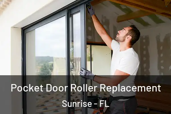  Pocket Door Roller Replacement Sunrise - FL